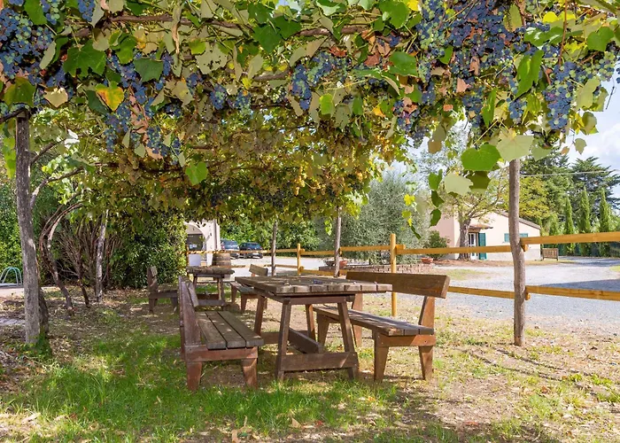 Antica Fonte 팜스테이 로시냐노 마리티모